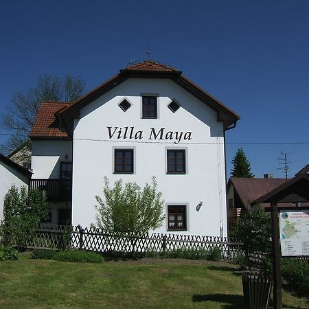 Villa Maya Horní Planá エクステリア 写真