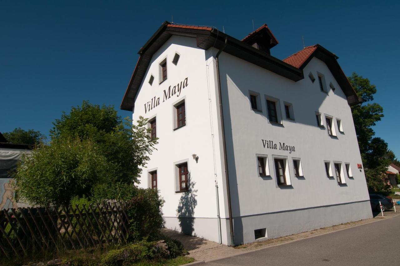 Villa Maya Horní Planá エクステリア 写真