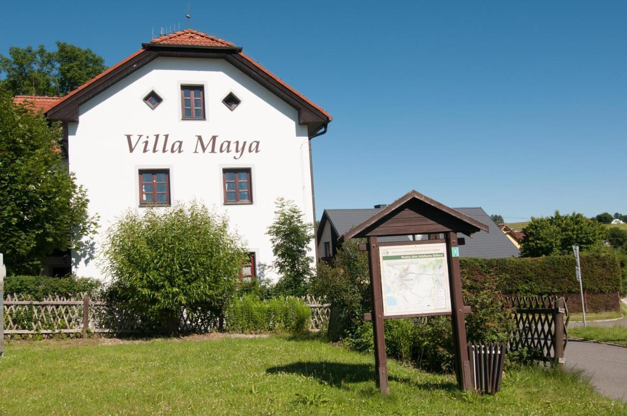 Villa Maya Horní Planá エクステリア 写真